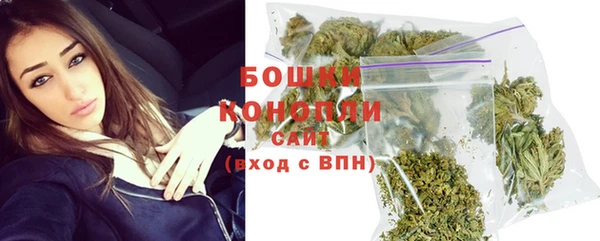 PSILOCYBIN Михайлов