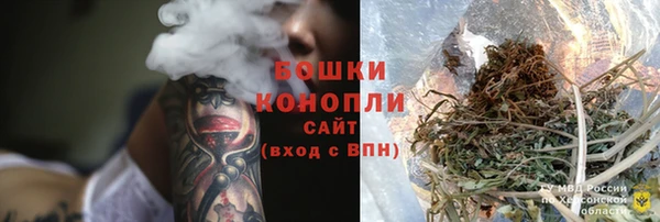 PSILOCYBIN Михайлов