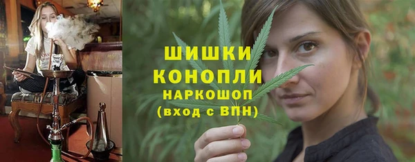 PSILOCYBIN Михайлов