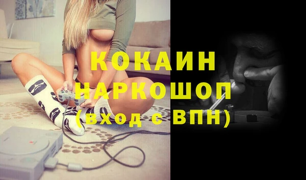 PSILOCYBIN Михайлов
