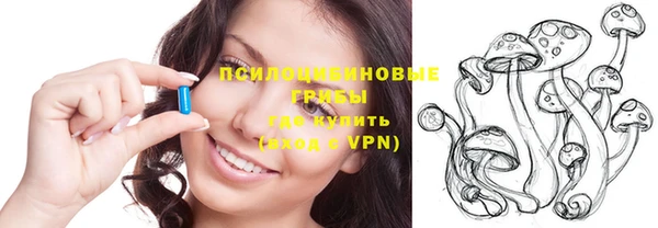 винт Мегион