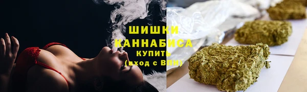 PSILOCYBIN Михайлов