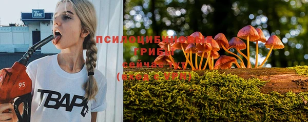 PSILOCYBIN Михайлов