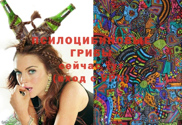 винт Мегион