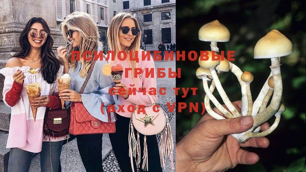 PSILOCYBIN Михайлов