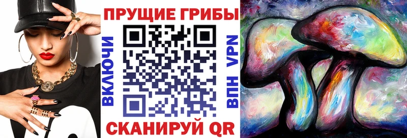 blacksprut ссылка  Пыталово  Галлюциногенные грибы мицелий 
